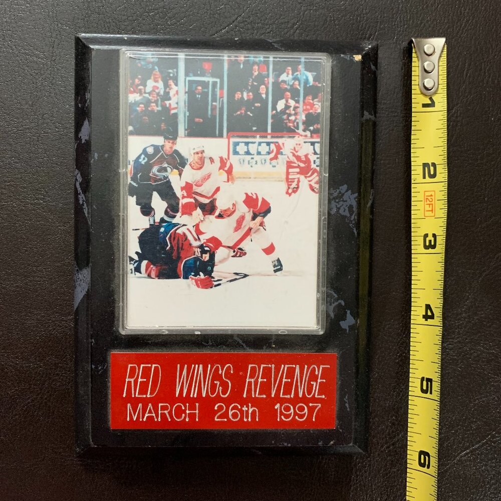 Detroit red wings .. just for the memories